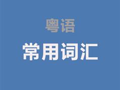 跟我学粤语常用词汇发音视频教程