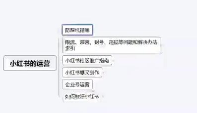 苏歆：引爆流量，小红书穿透式营销攻略大揭秘