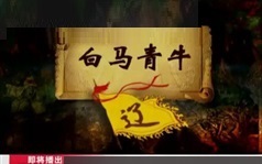 百家讲坛袁腾飞大全集五千年系列