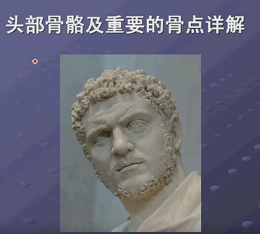 【站长推荐】素描全教程高级完整版教程，从零到精通，掌握专业绘画技巧