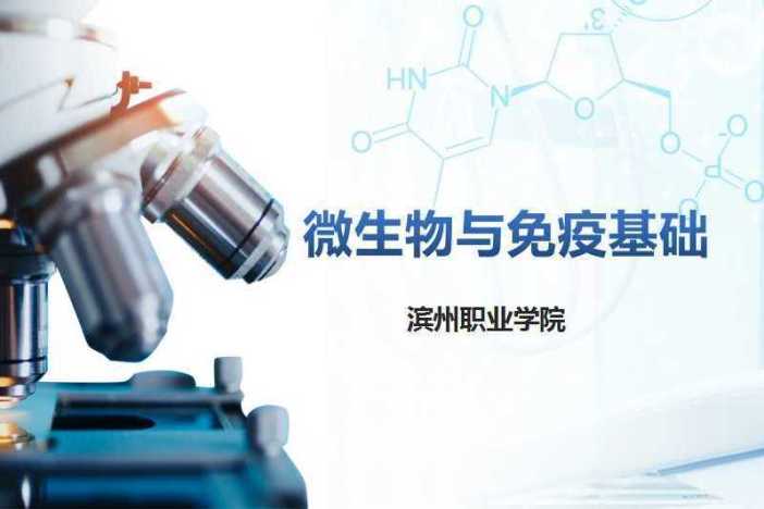 微生物与免疫基础