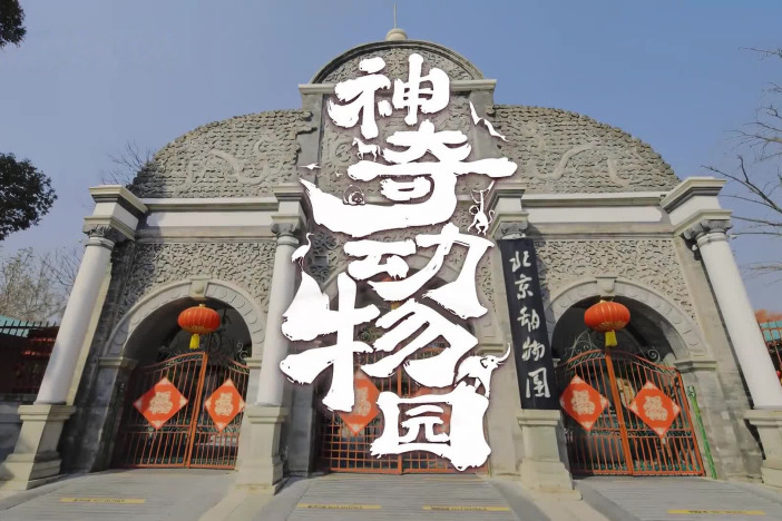 神奇动物园
