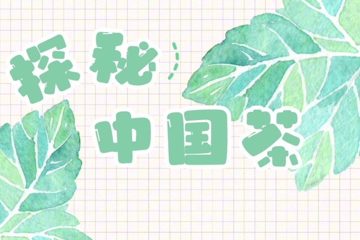 探秘中国茶：茶具之盖碗篇