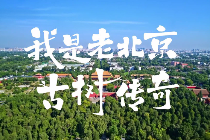 我是老北京——古树传奇