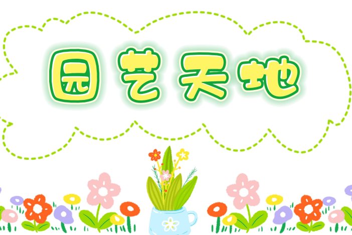 园艺天地：牵牛花养护小技巧