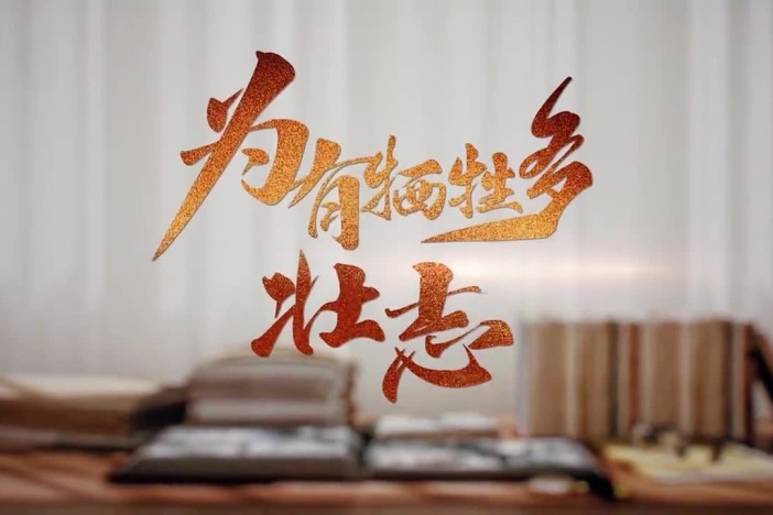 纪录片《为有牺牲多壮志》