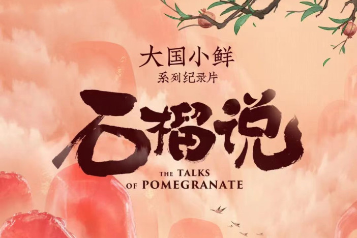 大国小鲜 石榴说