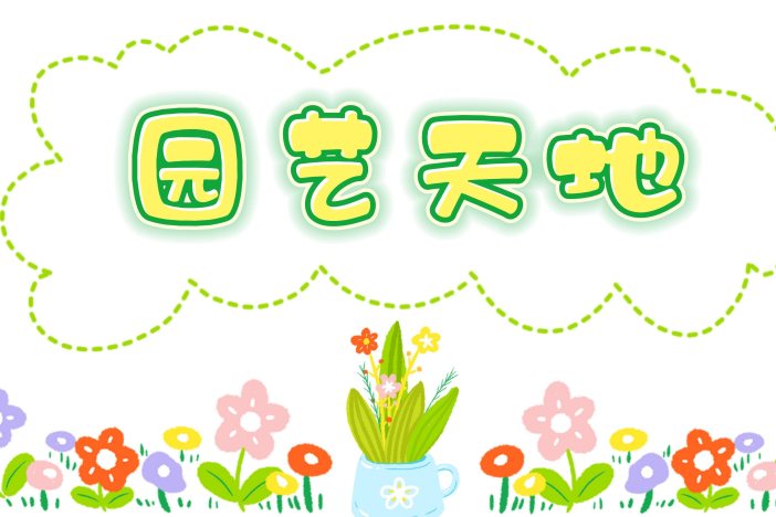 园艺天地：山茶花养护小技巧