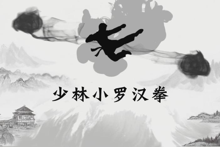 少林小罗汉拳分解教学