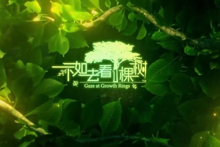 不如去看一棵树（精选）