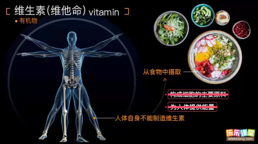 乐乐课堂初中生物高清动画视频：初