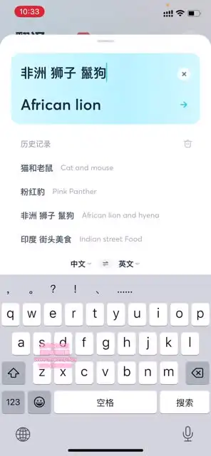国外美食与视频创业全攻略：从素材
