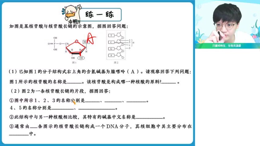 2024高一生物暑假班-邓康尧名师